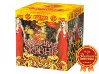 Красивая жизнь Фейерверк купить в Знаменке | znamenka.salutsklad.ru