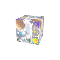 Новогодняя ночь Салют купить в Знаменке | znamenka.salutsklad.ru