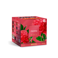 Пионы Салют купить в Знаменке | znamenka.salutsklad.ru