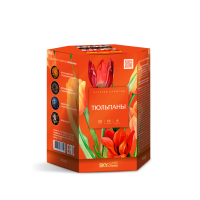 Тюльпаны Салют купить в Знаменке | znamenka.salutsklad.ru
