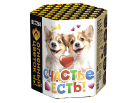 Счастье есть! Салют купить в Знаменке | znamenka.salutsklad.ru