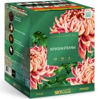 Хризантемы Фейерверк купить в Знаменке | znamenka.salutsklad.ru