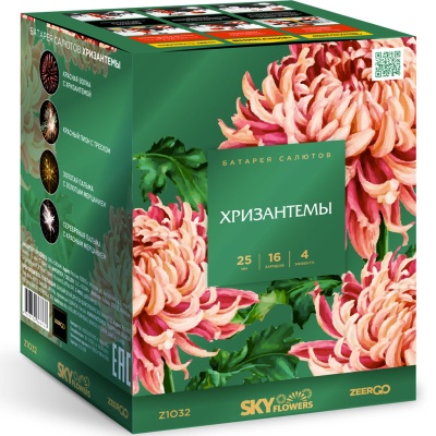 Хризантемы Фейерверк купить в Знаменке | znamenka.salutsklad.ru