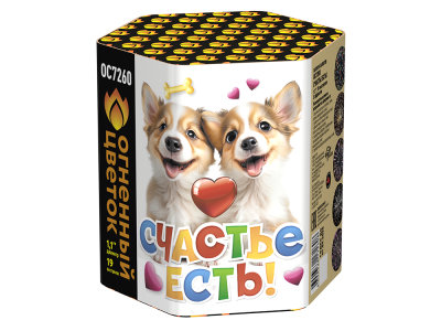 Счастье есть! Салют купить в Знаменке | znamenka.salutsklad.ru